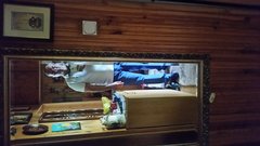 20180715_143602.jpg