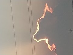 IMG_20180728_052012.jpg