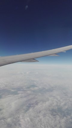 IMG_20180730_075030.jpg