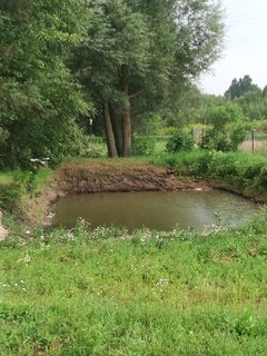 IMG_20180731_200952.jpg