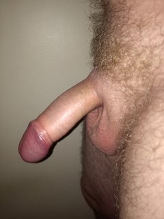 cucktoj1.jpg