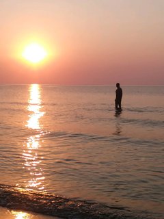 20180731_200840.jpg