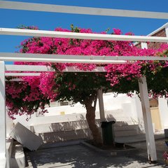IMG_20180801_145052.jpg