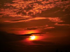 _1050220.jpg