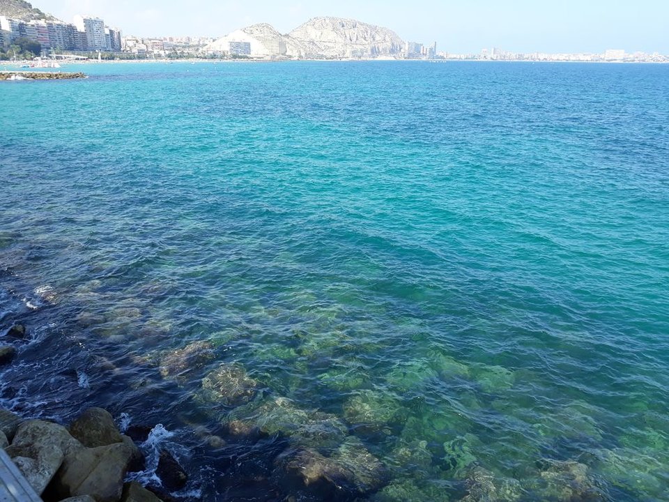20180730_164333.jpg - Robertooooo73