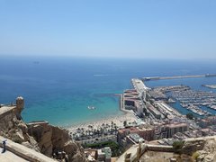 20180731_133748.jpg