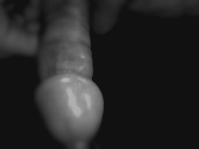 Adam_39