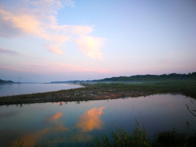 wariatka25