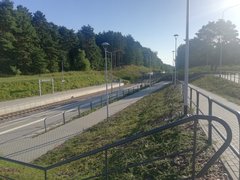 IMG_20180804_073018.jpg