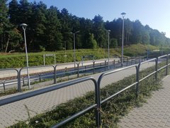 IMG_20180804_072959.jpg