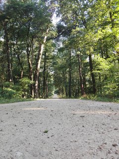 IMG_20180804_084406.jpg