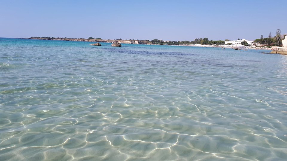 IMG-20180726-WA0003.jpg - Sicilia