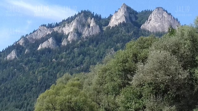 JALI9
