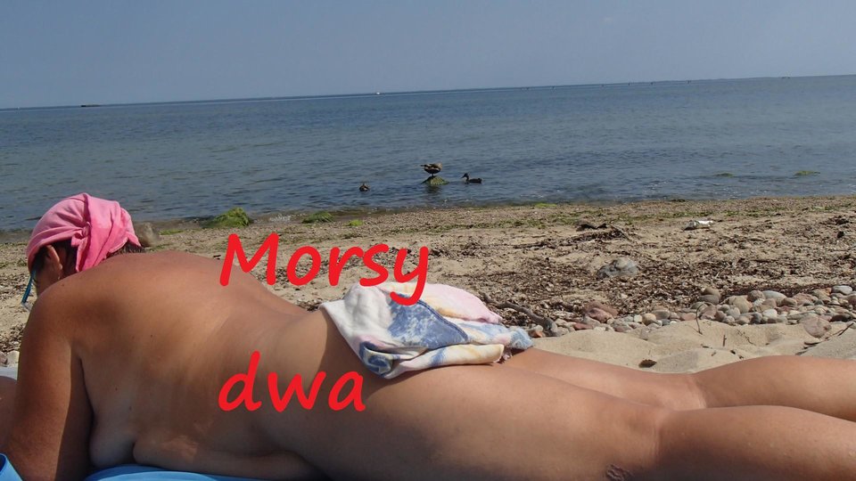 Nad morzem. - Morsy_dwa