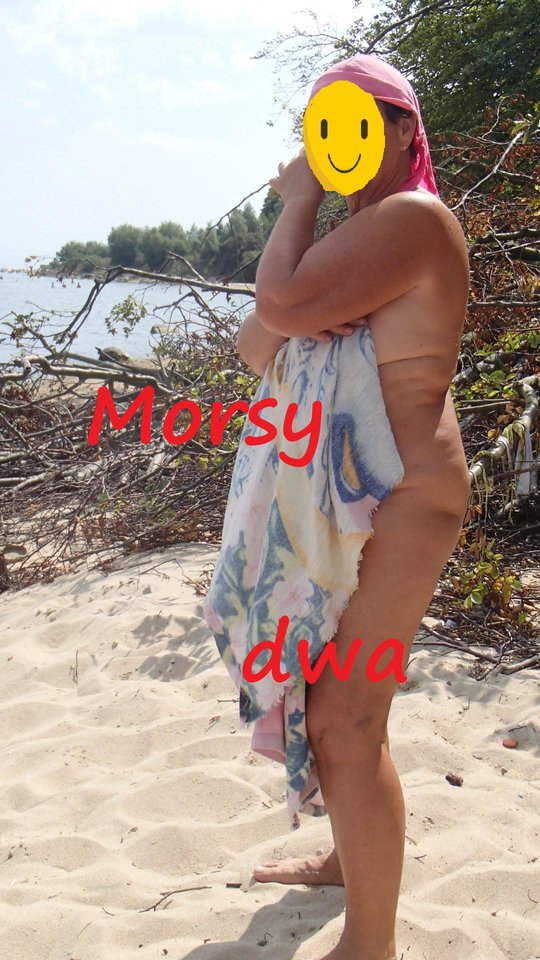 Plaża. - Morsy_dwa