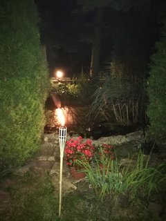 IMG_20180804_231256.jpg