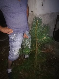 IMG_20180805_211131.jpg