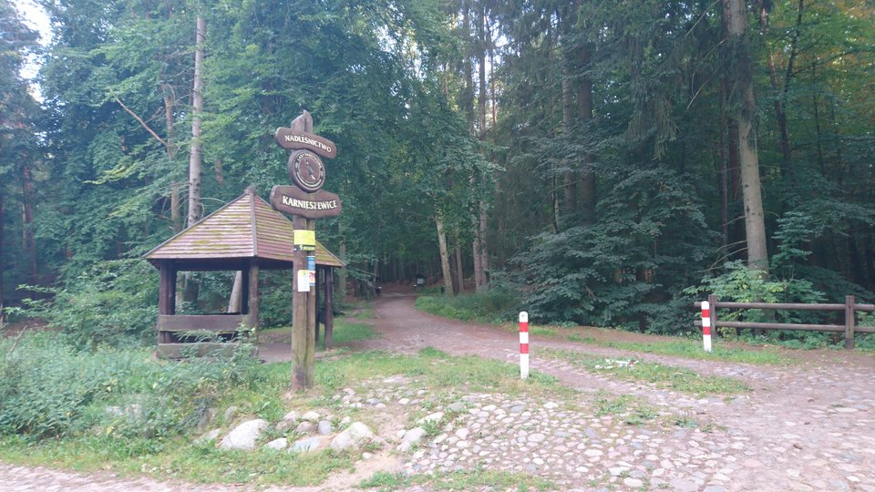 DSC_1764.JPG - Kolegazokolicy