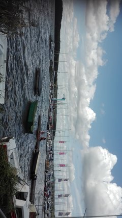 IMG_20180805_151022.jpg