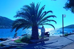 DSC_0120.JPG