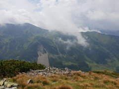20180723_134737.jpg