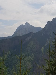 20180724_102152.jpg