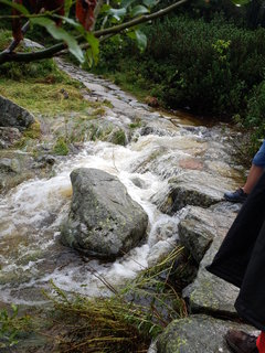 20180727_150058.jpg
