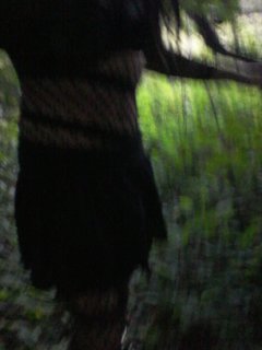 20180807_200934.jpg