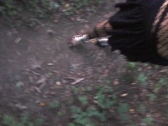 20180807_195208.jpg