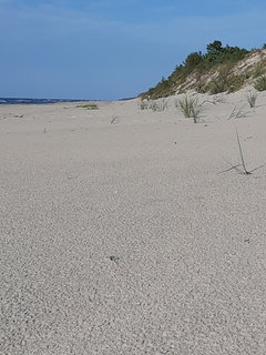 20180806_182219.jpg
