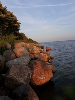 20180721_201953.jpg