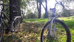 20180801_150544.jpg