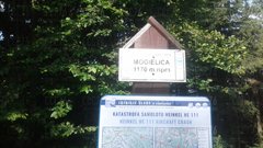 20180808_083857.jpg