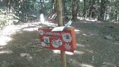 20180807_081854.jpg