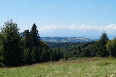 DSC03654.JPG