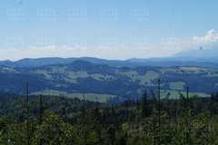 DSC03664.JPG