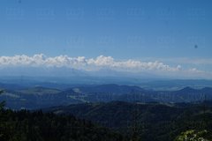 DSC03689.JPG