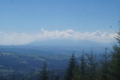 DSC03707.JPG