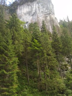 IMG_20180810_135639.jpg