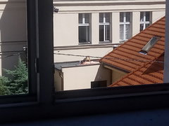20180813_131305.jpg