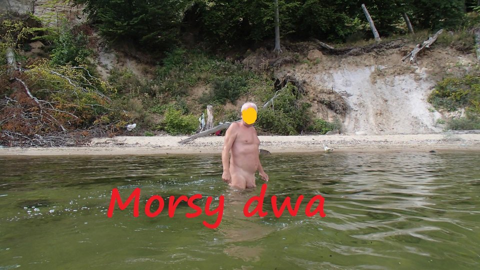 W morzu i nad morzem. - Morsy_dwa