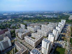 DJI_0558a.jpg