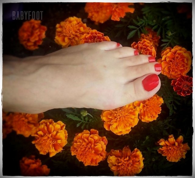 Babyfoot