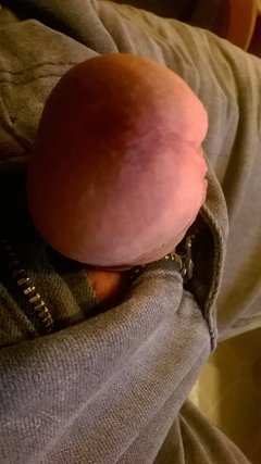 WP_20180711_002.jpg