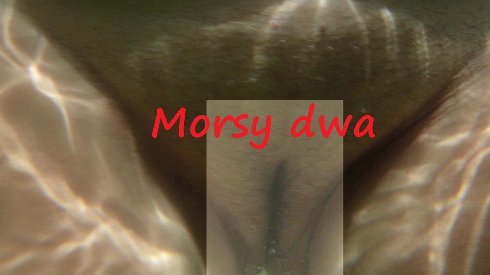 Pod wodą. - Morsy_dwa