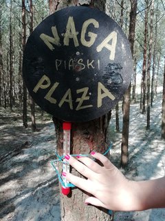 IMG_20180816_103831.jpg