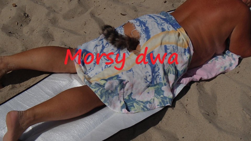 Na plaży 08 2018. - Morsy_dwa