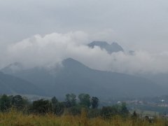 IMG_20180815_121213.jpg