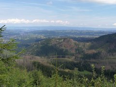 IMG_20180812_112503.jpg