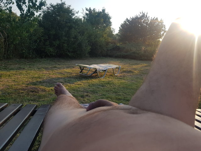 mlynek1979